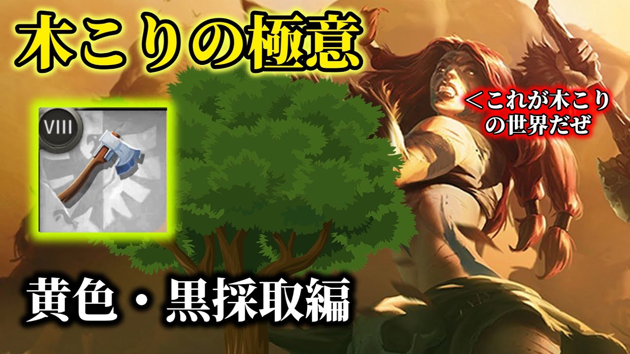 【アルビオンオンライン】木こりの極意！木を切って稼ぐ！？黄色・黒採取で徹底調査