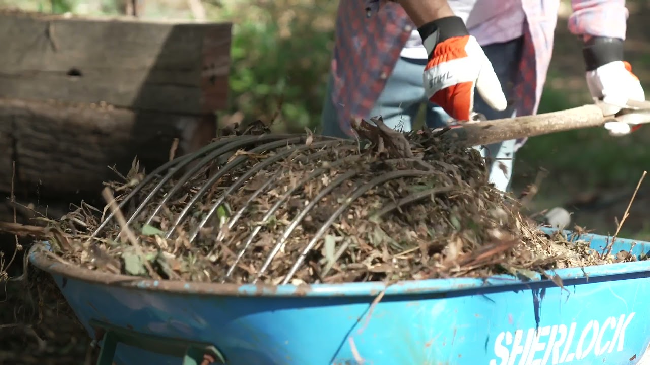 STIHL GHE-150 SHREDDER