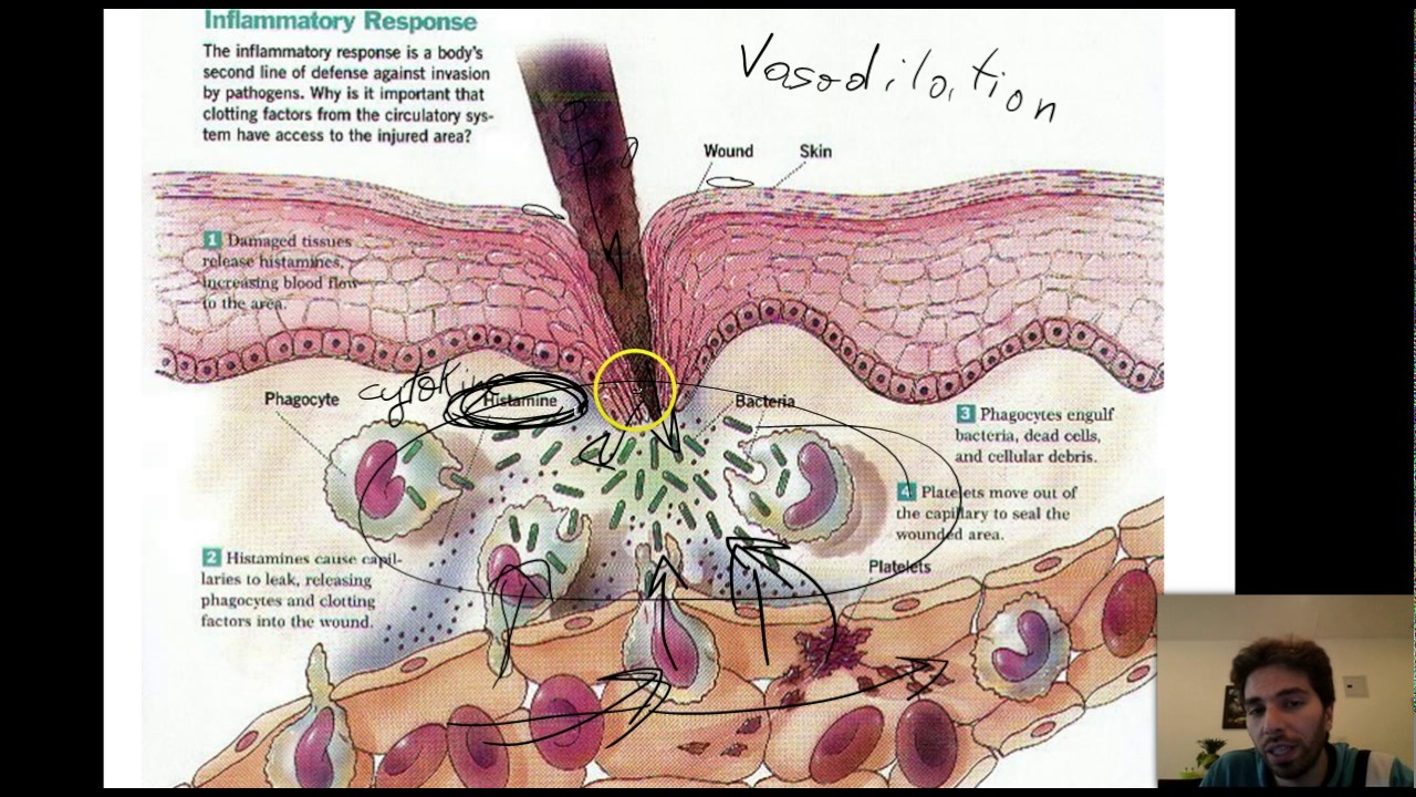 22 - Chapter 7 Doc 1,2,3,4,5,6 - Lebanese Bac - L.S.