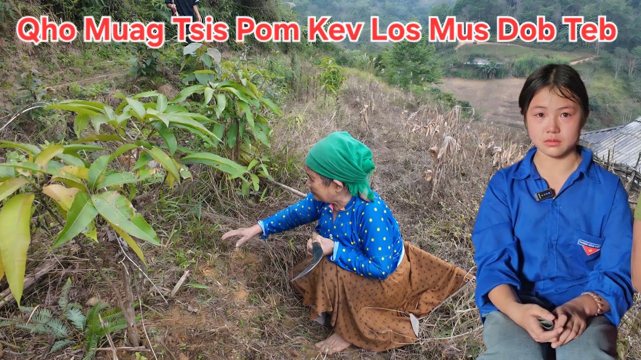 Thawj Zaug Pom Pog Qho Muag Tsis Pom Kev Los Nws Mus Dob Tau Teb Xav Nyiaj Rau Nkauj Seev Quaj2
