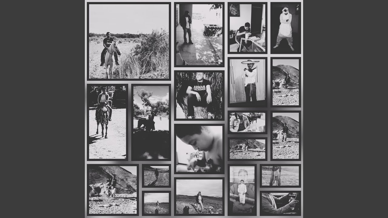 The black wolf (Remix)