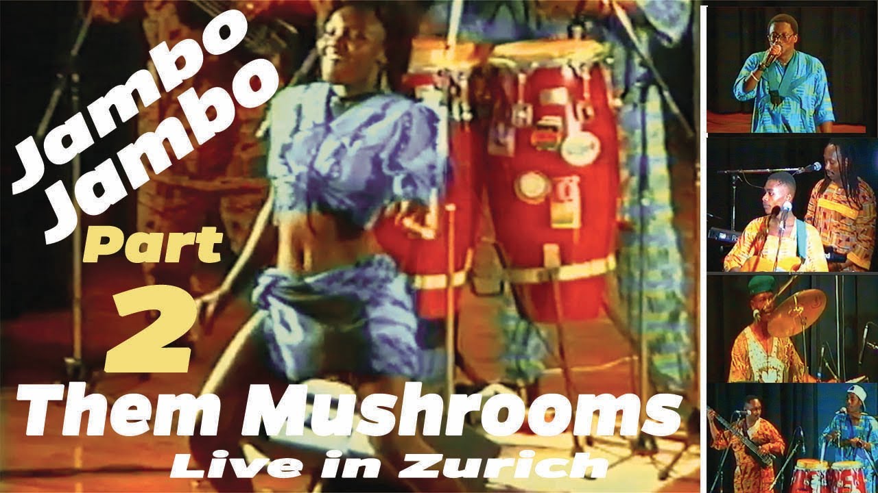 Them Mushrooms Live  - Jambo Bawna Part 2
