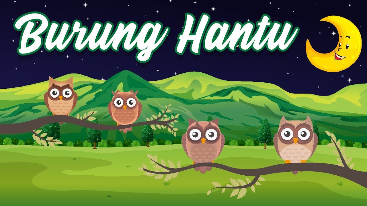 Burung Hantu | Lagu Anak Indonesia