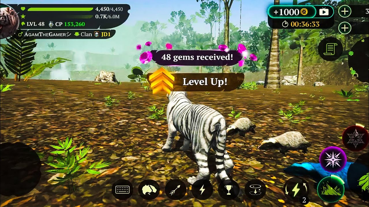 The Tiger- Tropical Forest Coop And Level Up To 48
