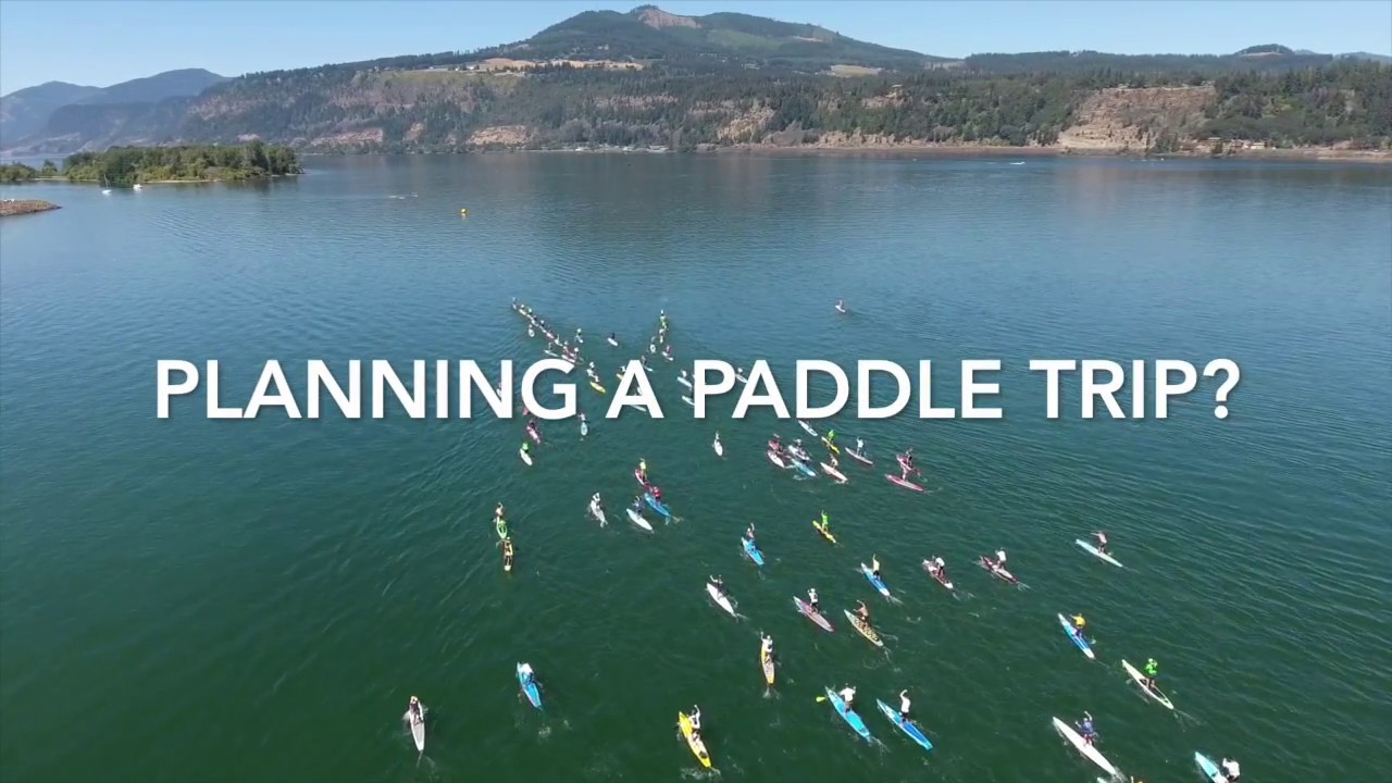Best 3-Piece Travel Paddle for SUPing
