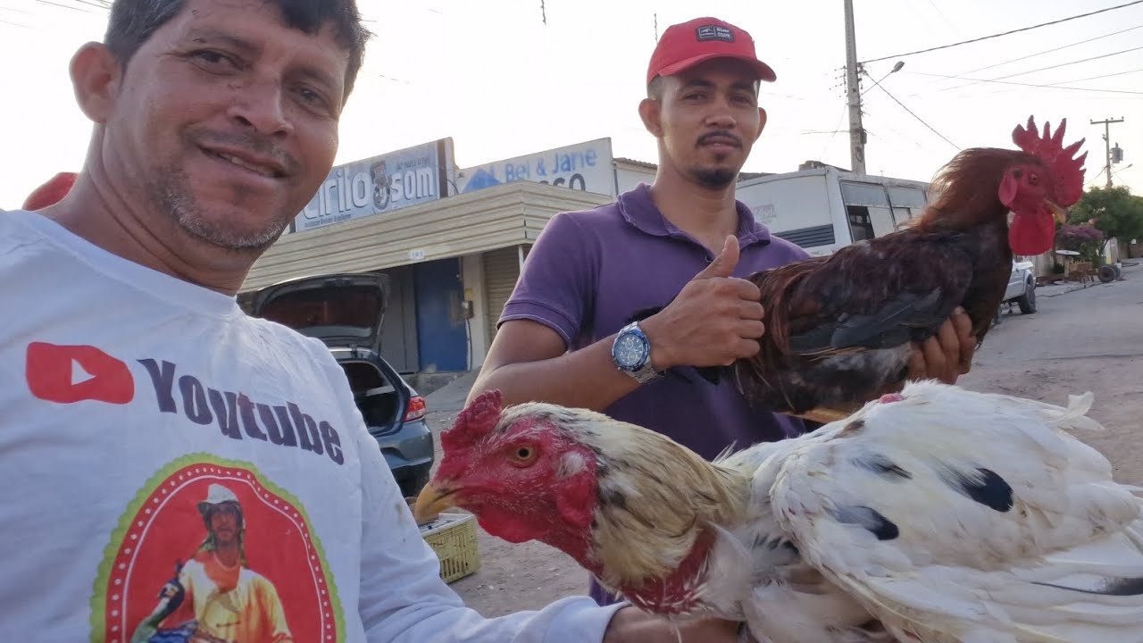 VANIO DA FEIRA DAS GALINHAS REGISTRADO AS NOVIDADES EM DOIS RIACHO #NORDESTE 