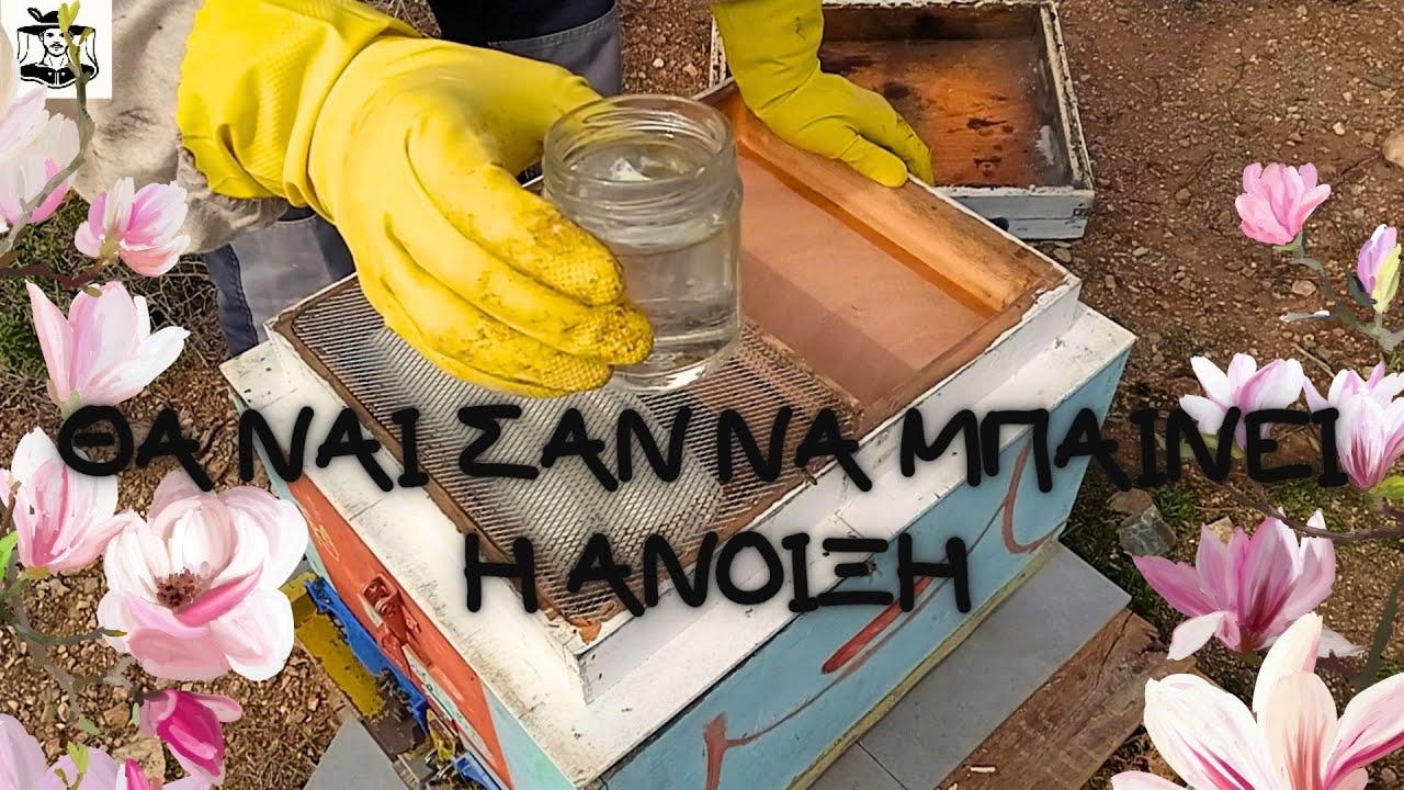 ΤΟ ΠΡΩΤΟ ΣΙΡΟΠΑΚΙ ΣΤΑ ΜΕΛΙΣΣΙΑ🐝