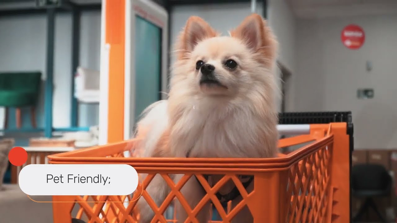 Mobly Loja F&iacute;sica: conhe&ccedil;a o modelo Megastore 🏠🧡