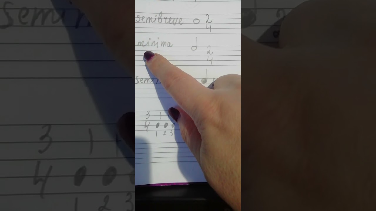 2/4 semibreve mínima semiminima