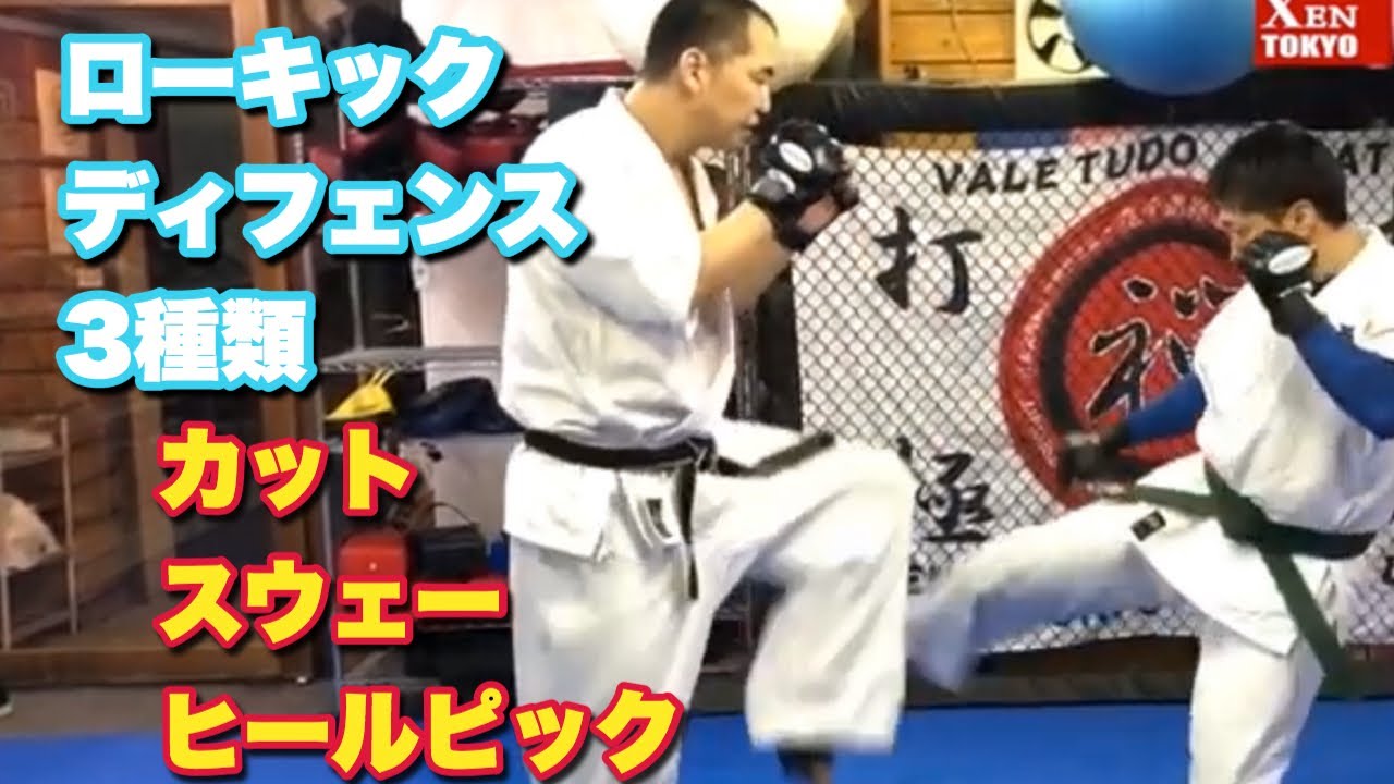 【これで打撃は怖くない#3】下段廻し蹴り 防御 ローキックディフェンス3種類 脛カット
