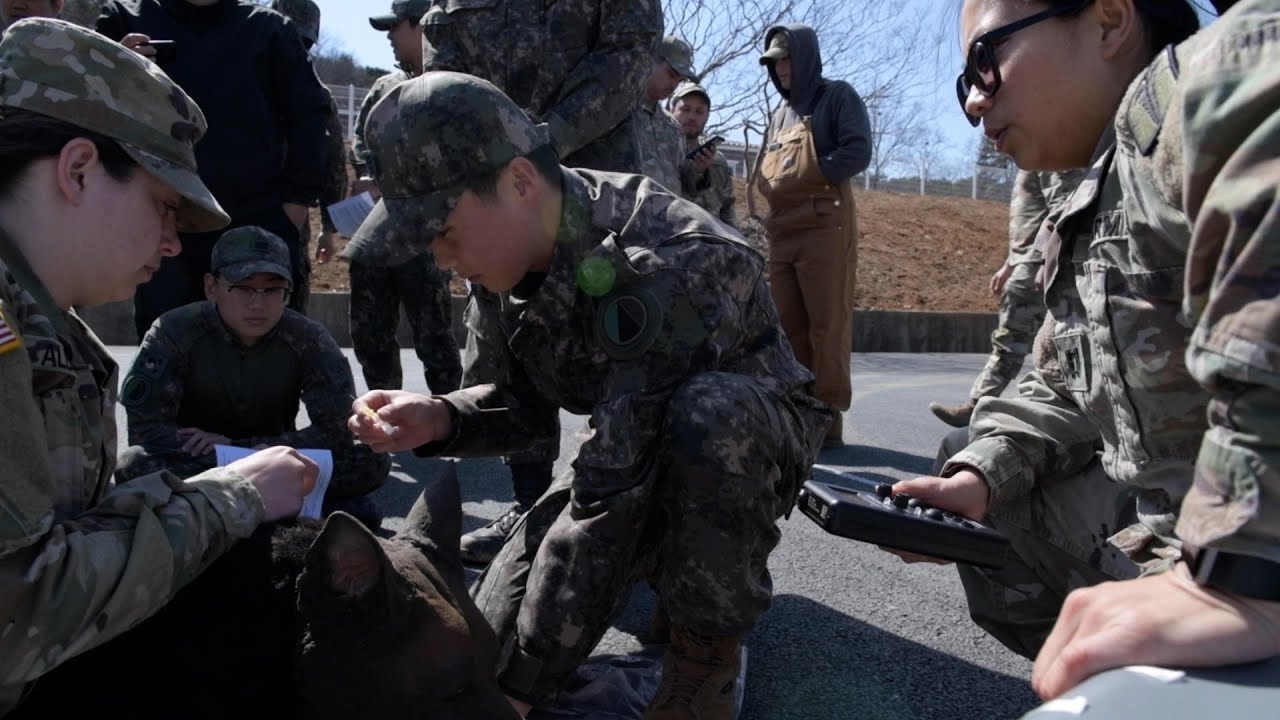 Bilateral MWD Training: Operation Dragon Alliance