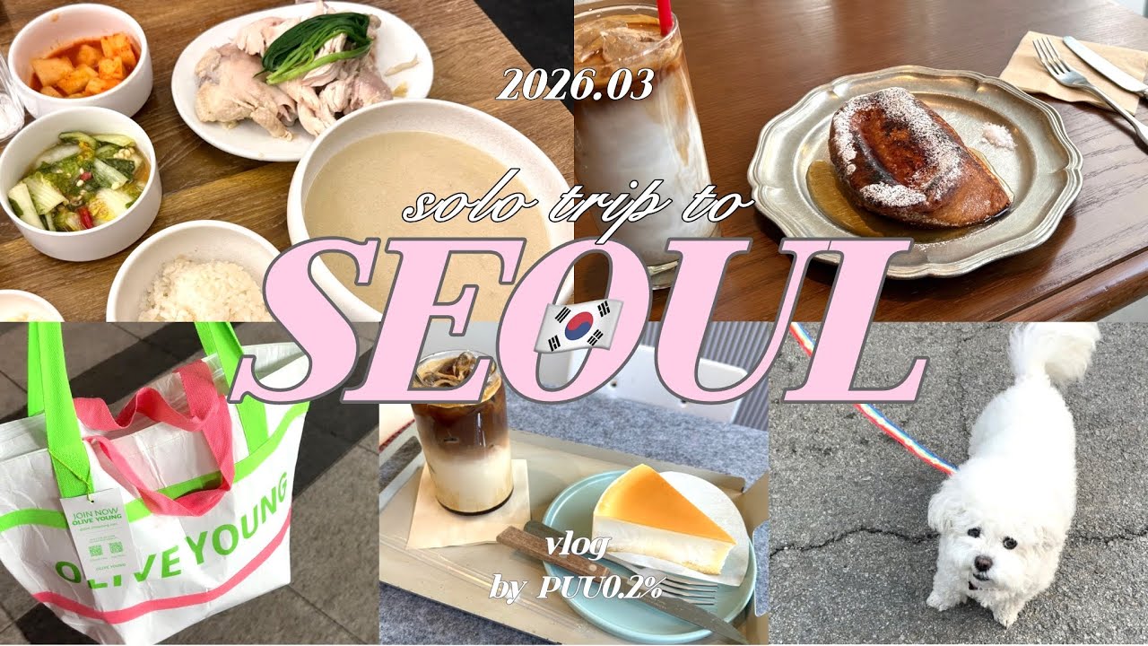 【韓国vlog】3月最新｜滞在24時間でもゆっくり満喫｜人気カフェとグルメ