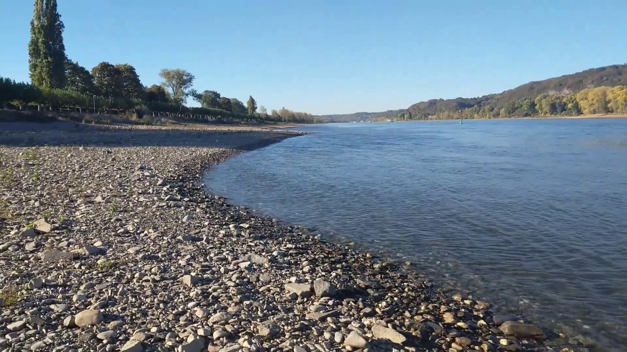 Rhein Flussbett - Trockenes Flussbett Rhein - Rhein Niedrigwasser 2018