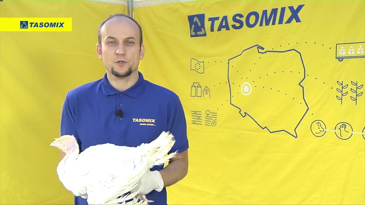 Hodowla indyków - odchów - czwarty tydzień | TASOMIX