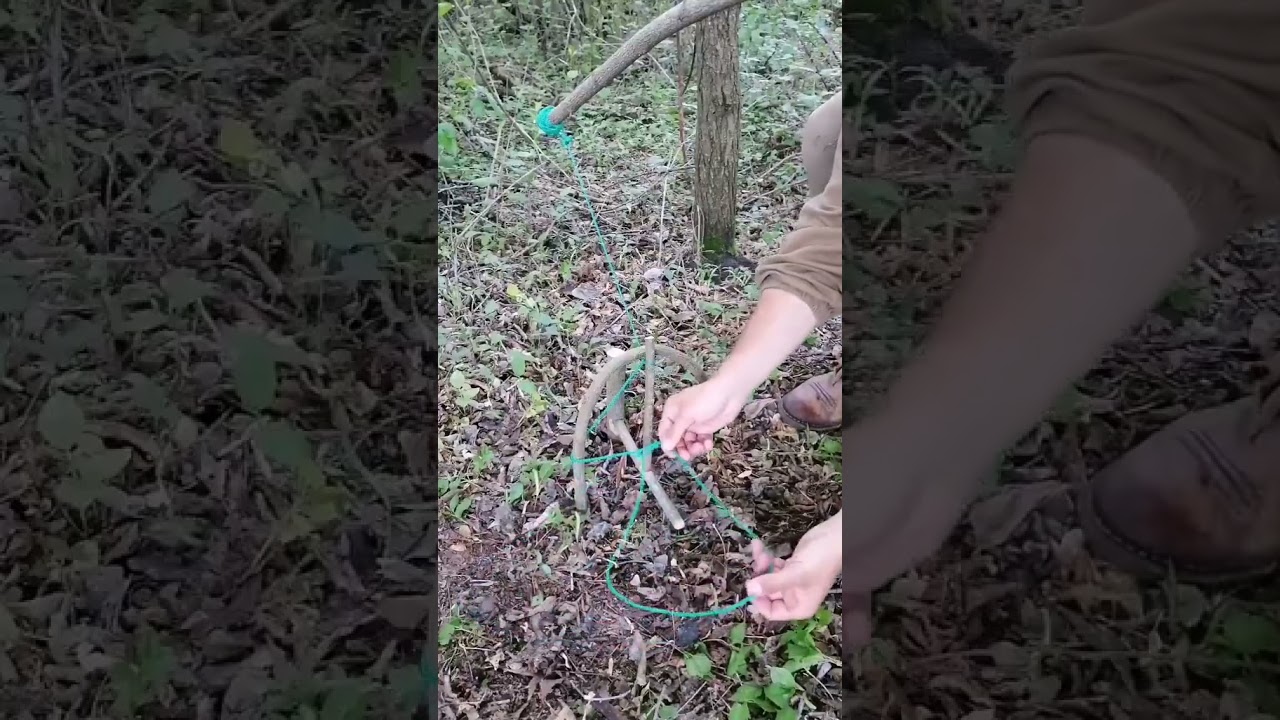 Instructions for making simple bird and wild chicken traps