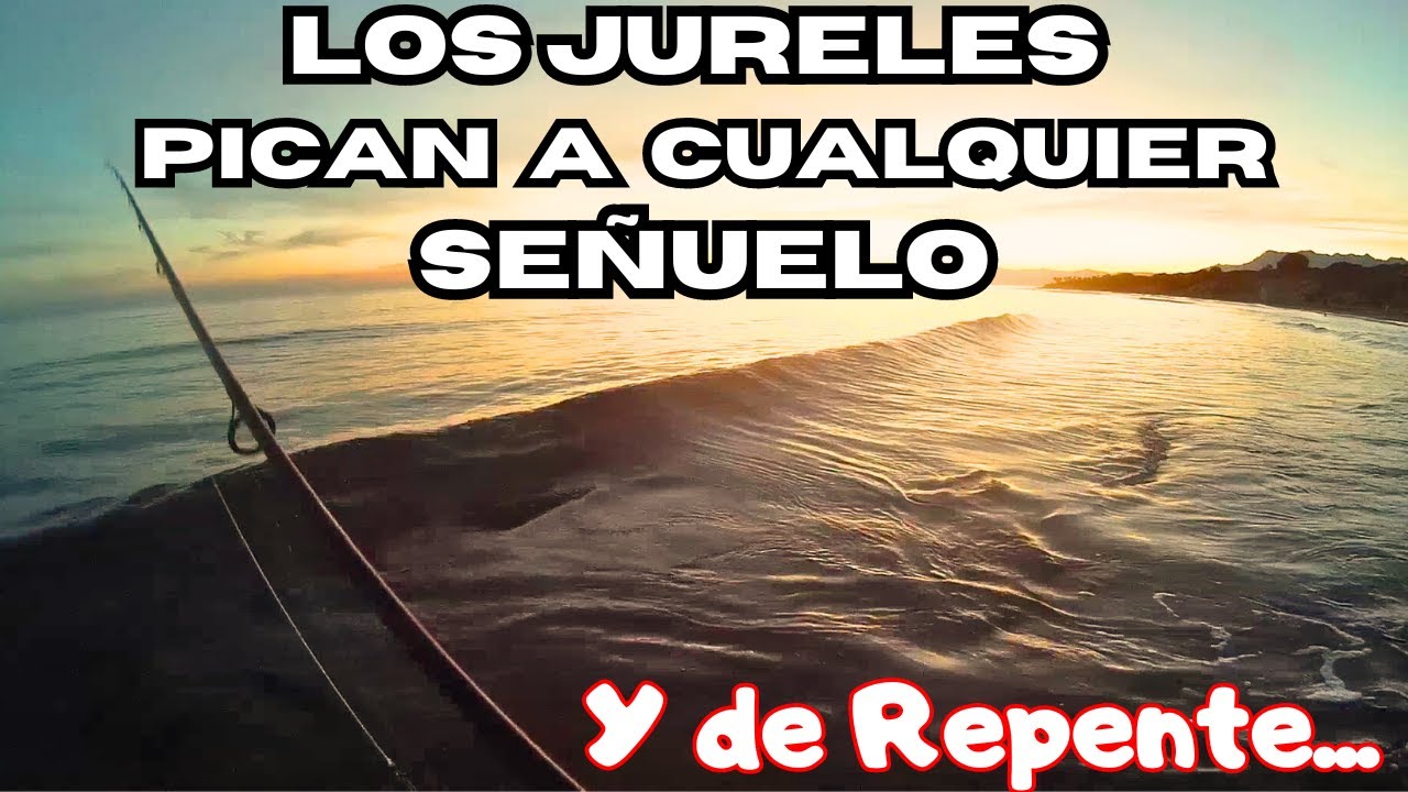 Los JURELES PICAN a CUALQUIER SEÑUELO !!