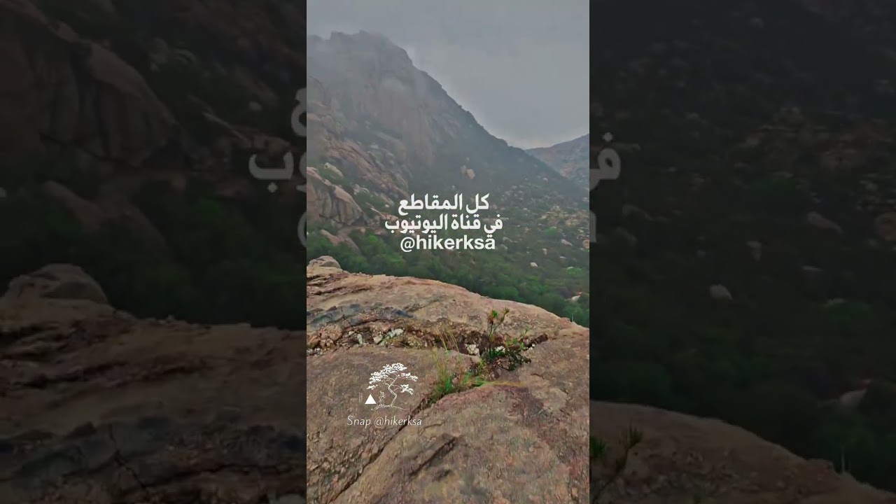 Tanomah Fog | ضباب وماء وأشجار بين جبال تنومة