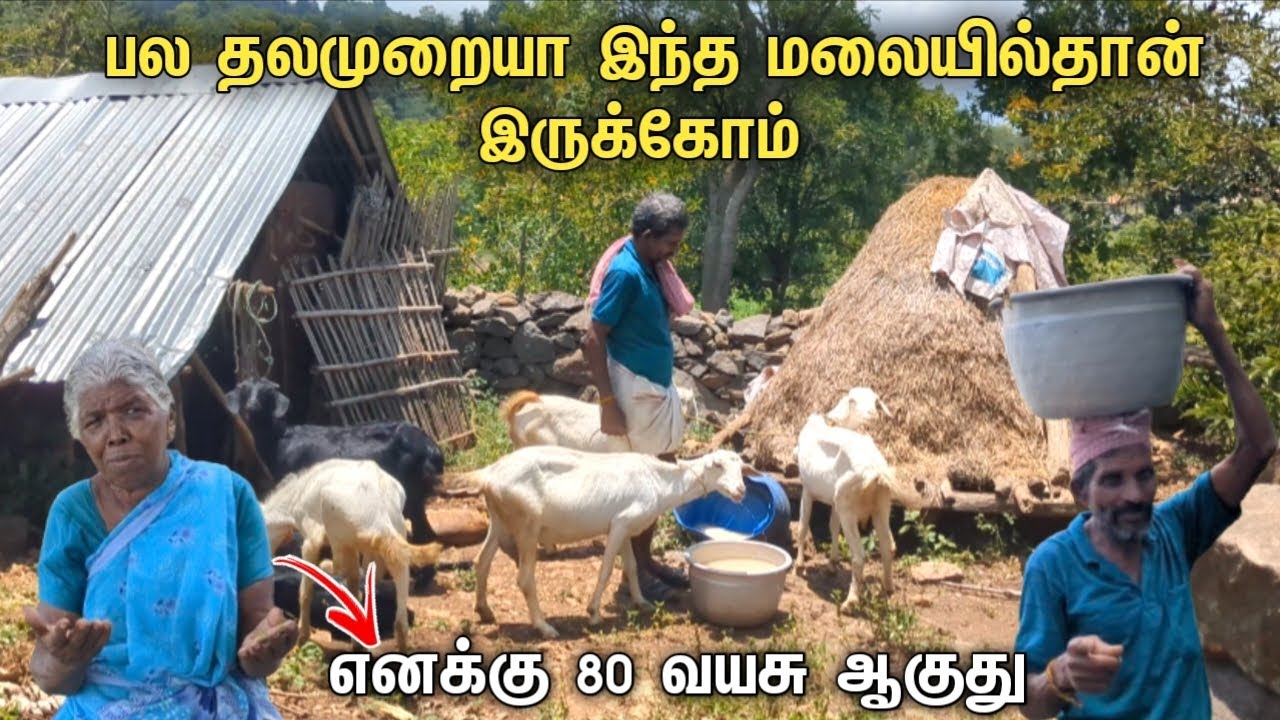 😞 எனக்கு 80 வயசு ஆகுது -பலரும் அறியாத சொர்க்கம் 