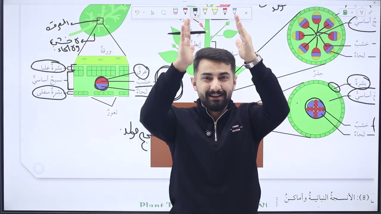 الحصة الثالثة جيل 2010 النباتات الوعائية البذريةج(1)
