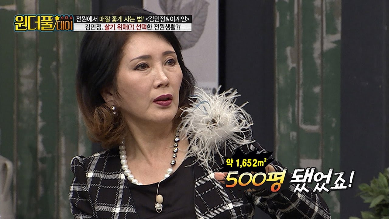 배우 김민정, 한남동 500평 대저택 안주인?! [스타쇼 원더풀데이] 11회 20161220