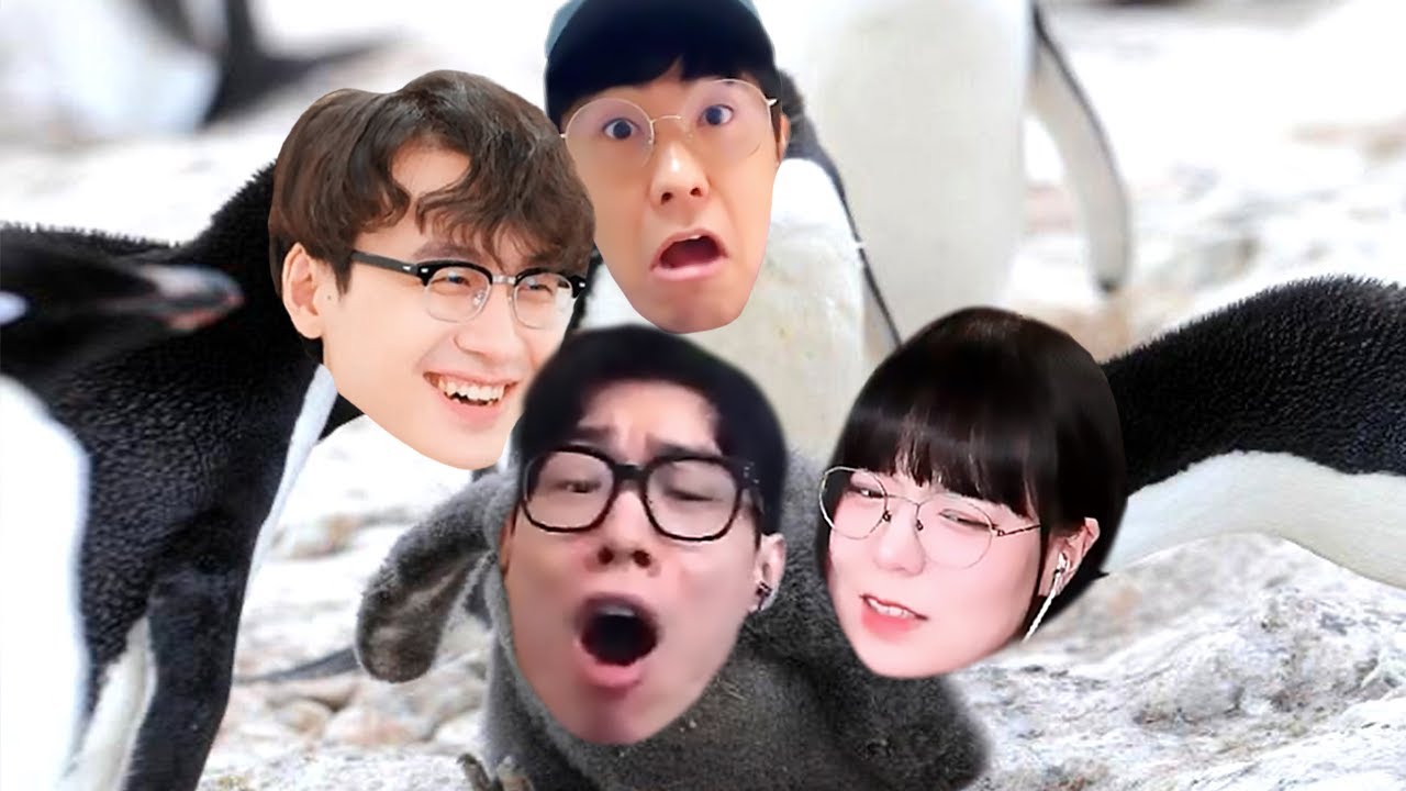 괴물쥐에게 다시 그 직업 유혹하는 산악회 멤버들ㅋㅋ