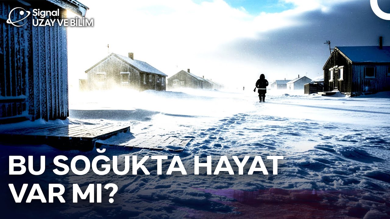 Dünyanın Ucundaki Kasaba: Tuktoyaktuk’ta Yaşam Nasıl? | Türkçe Dublaj