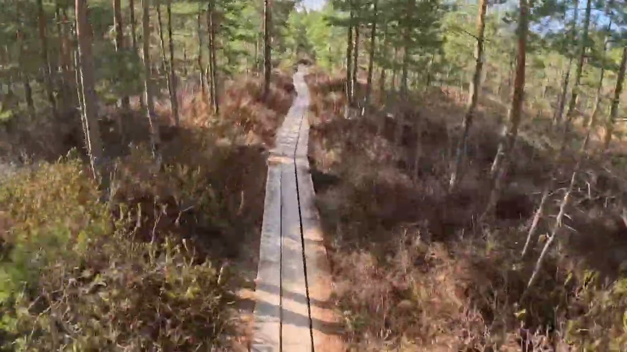 Siiponjoen luontopolku | Kalajoki | MTB |