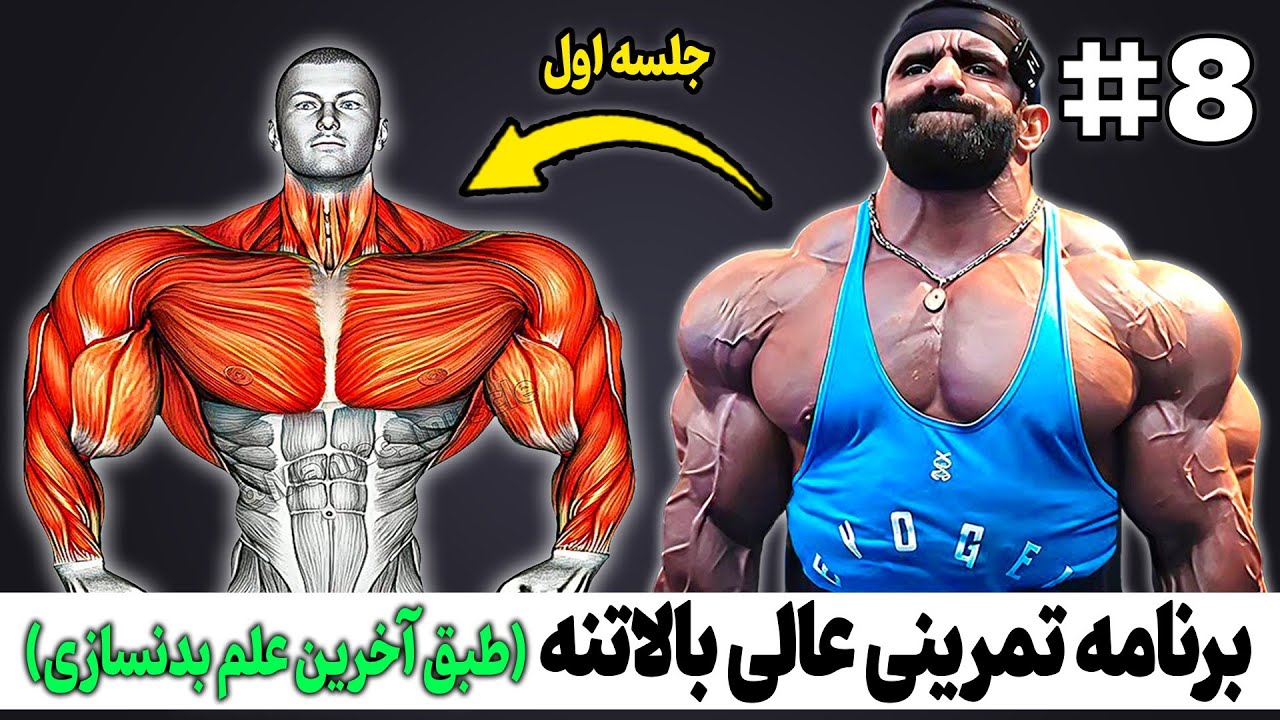 برنامه تمرینی عالی بالاتنه (طبق آخرین علم بدنسازی - جلسه اول)