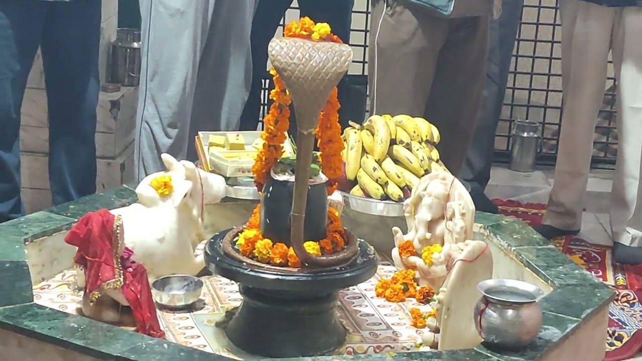 फाल्गुन माह भगवान शिव जी सोमवार रुद्राभिषेक आरती।Shiv Ji Aarti। शिव जी आरती 