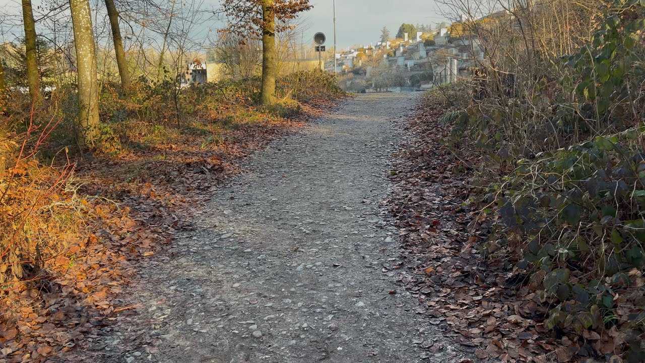 Walking until i see sheep (switzerland)