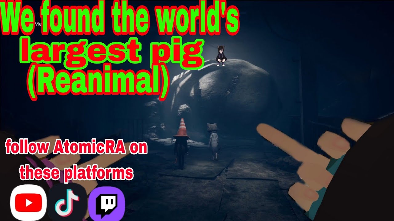 We found the world's largest pig (Reanimal)