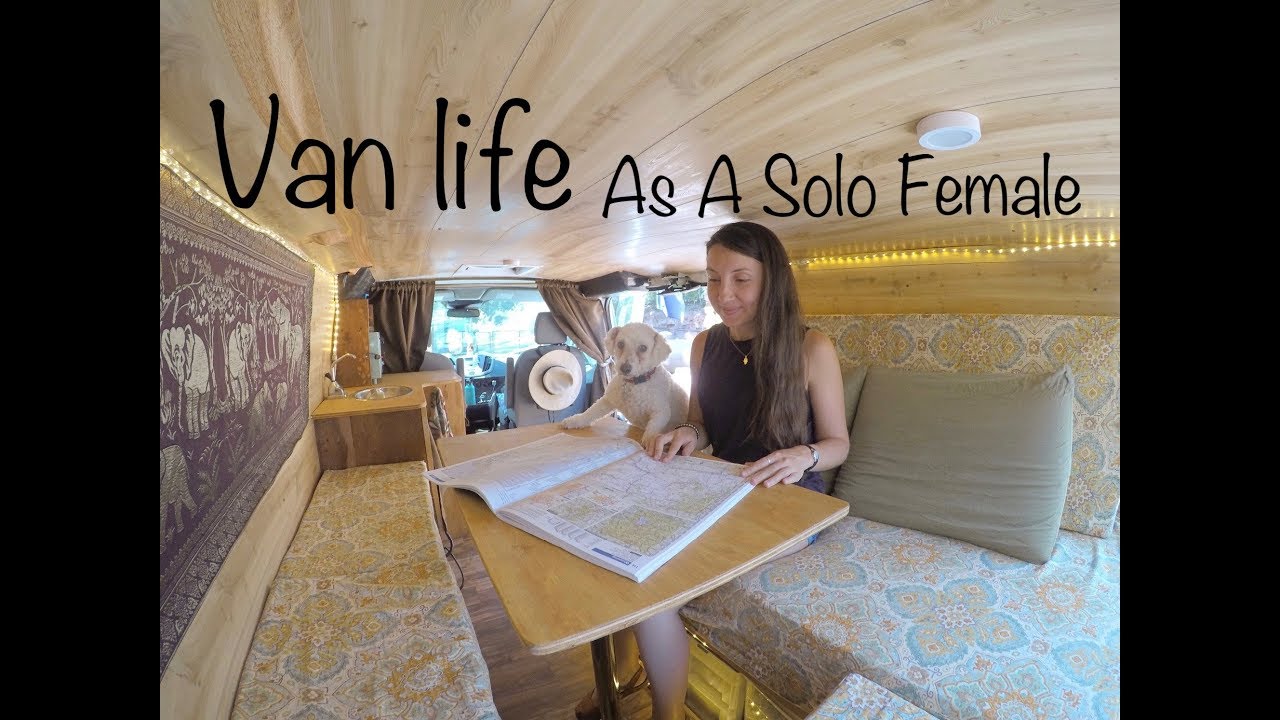 SOLO FEMALE lives with DOG in SELF-CONVERTED Ford Transit VAN