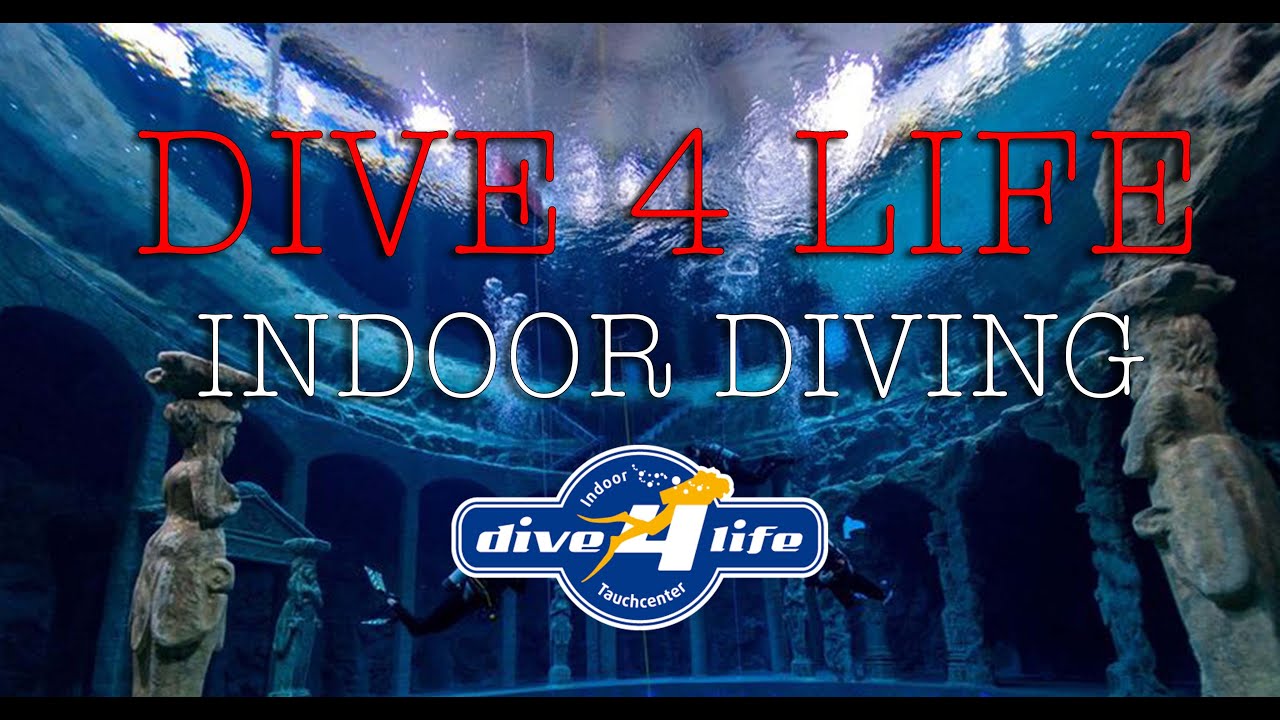 DIVE 4 LIFE - FEBRUAR 2022