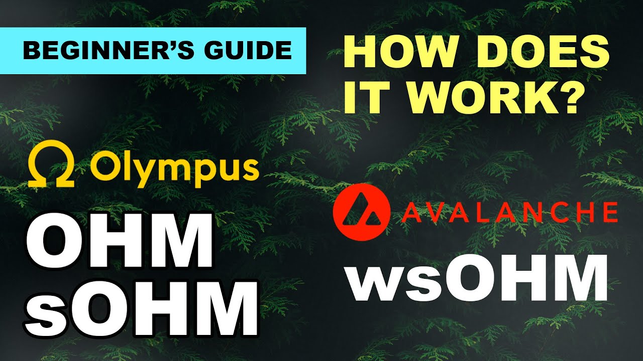 OHM, sOHM, and wsOHM - What is wsOHM? How to Stake OHM?