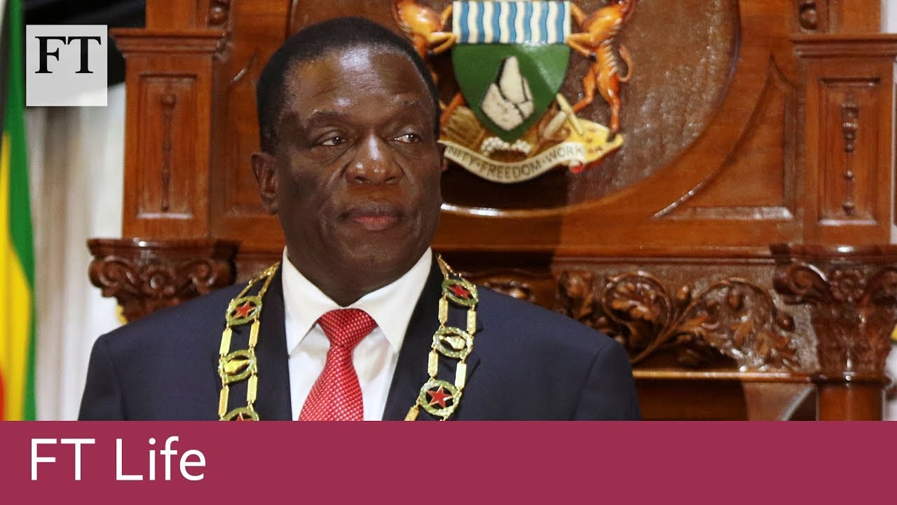 Highlights from Emmerson 'The Crocodile' Mnangagwa's 'Lunch with the FT' interview