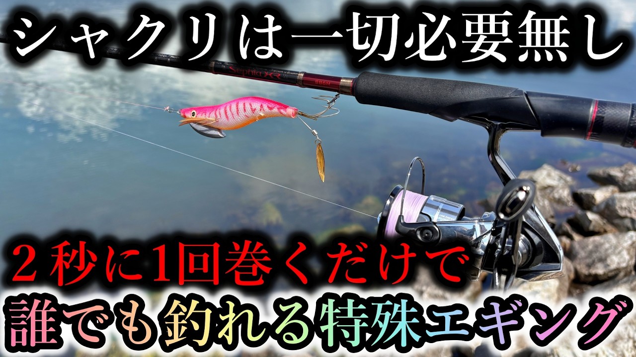 シャクリは一切無し&hellip;今の時期限定のこの釣り方は初心者でも巻くだけでイカが簡単に釣れます