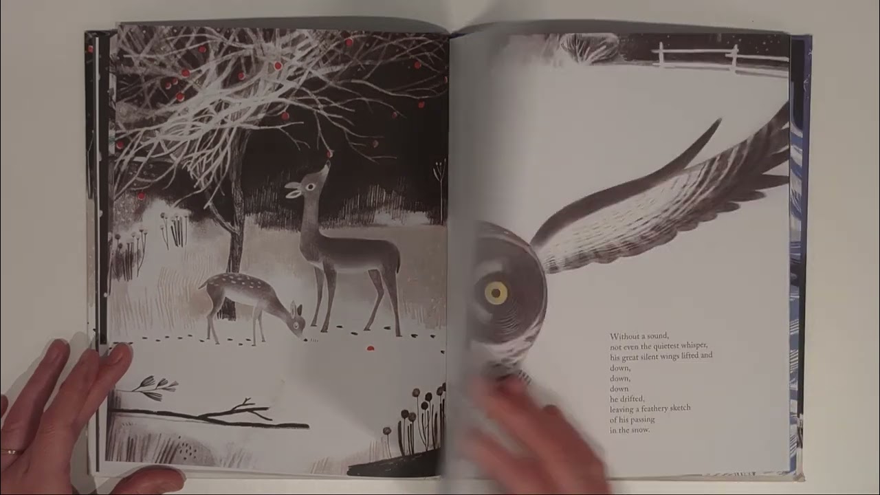 Once Upon a Northern Night winter book