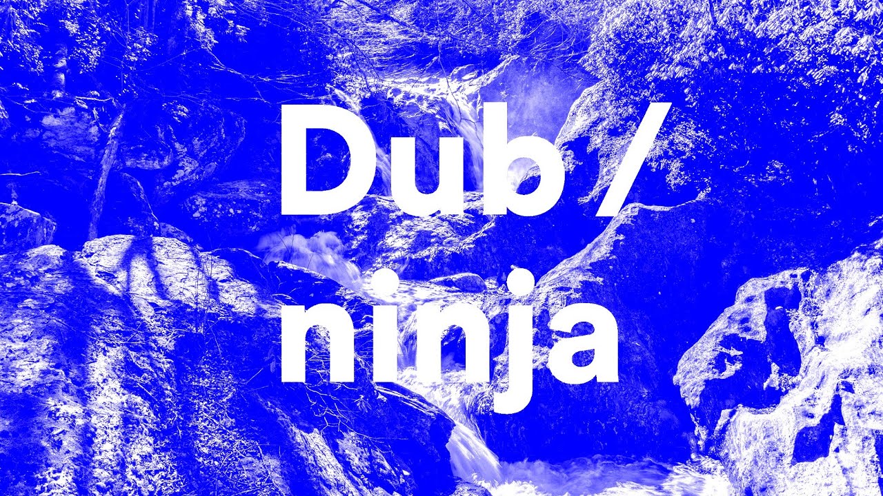Dub Ninja: Hypnotic / Outsider Dub Techno Mix