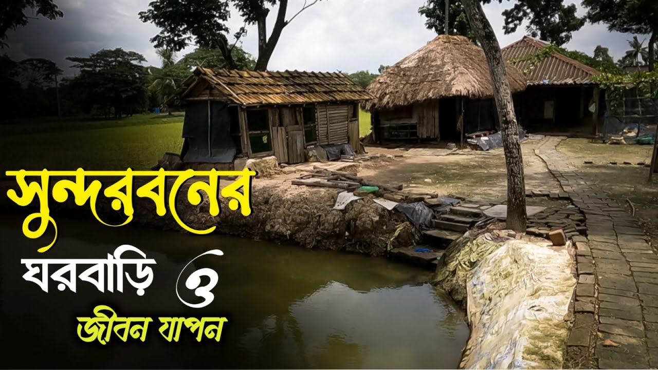 সুন্দরবন বাসীদের জীবন সংগ্রাম | Sundarban Villlage Life | সুন্দরবনের ঘরবাড়ি | Village of Sundarban |