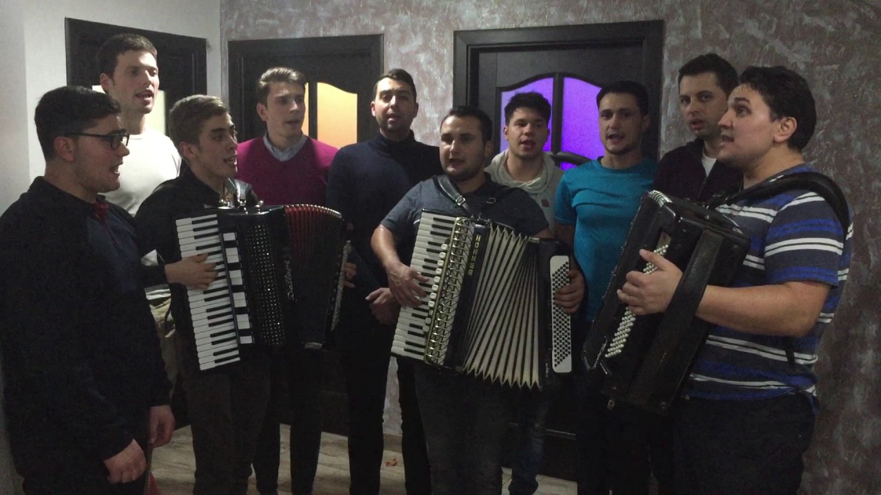 Fratii Strugariu , Florin Stefan & prietenii 