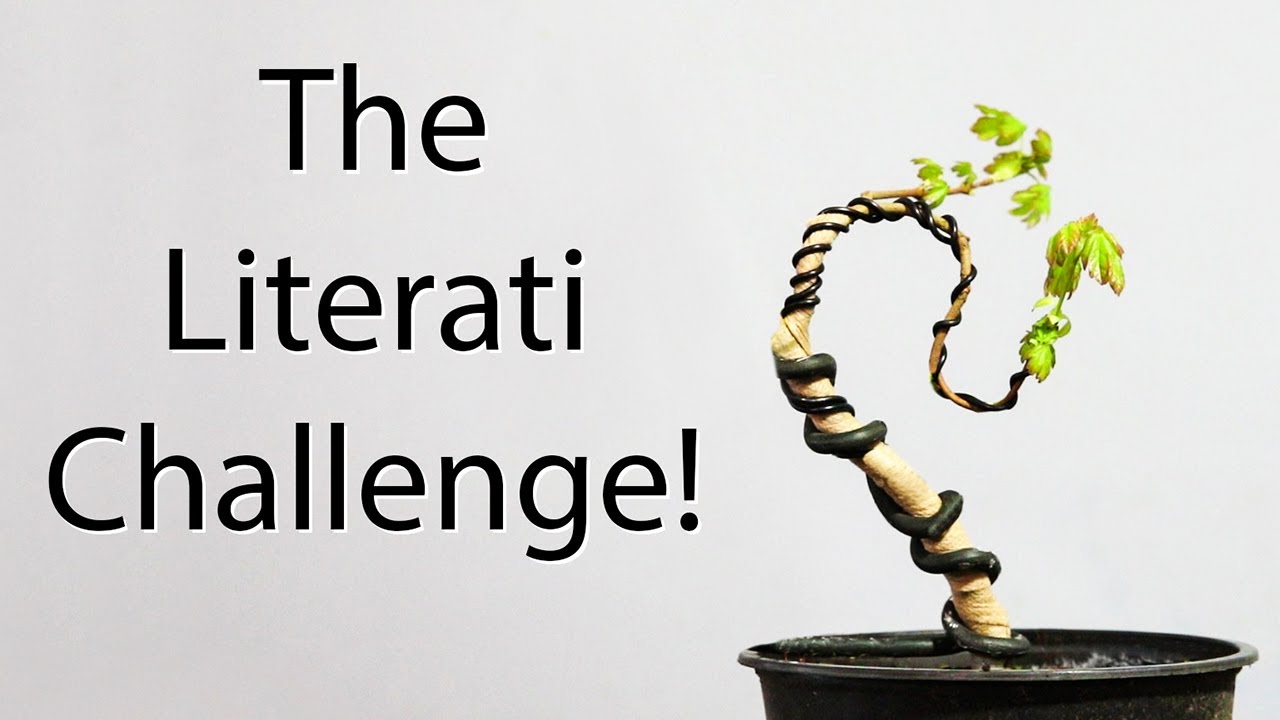 The Literati Challenge!