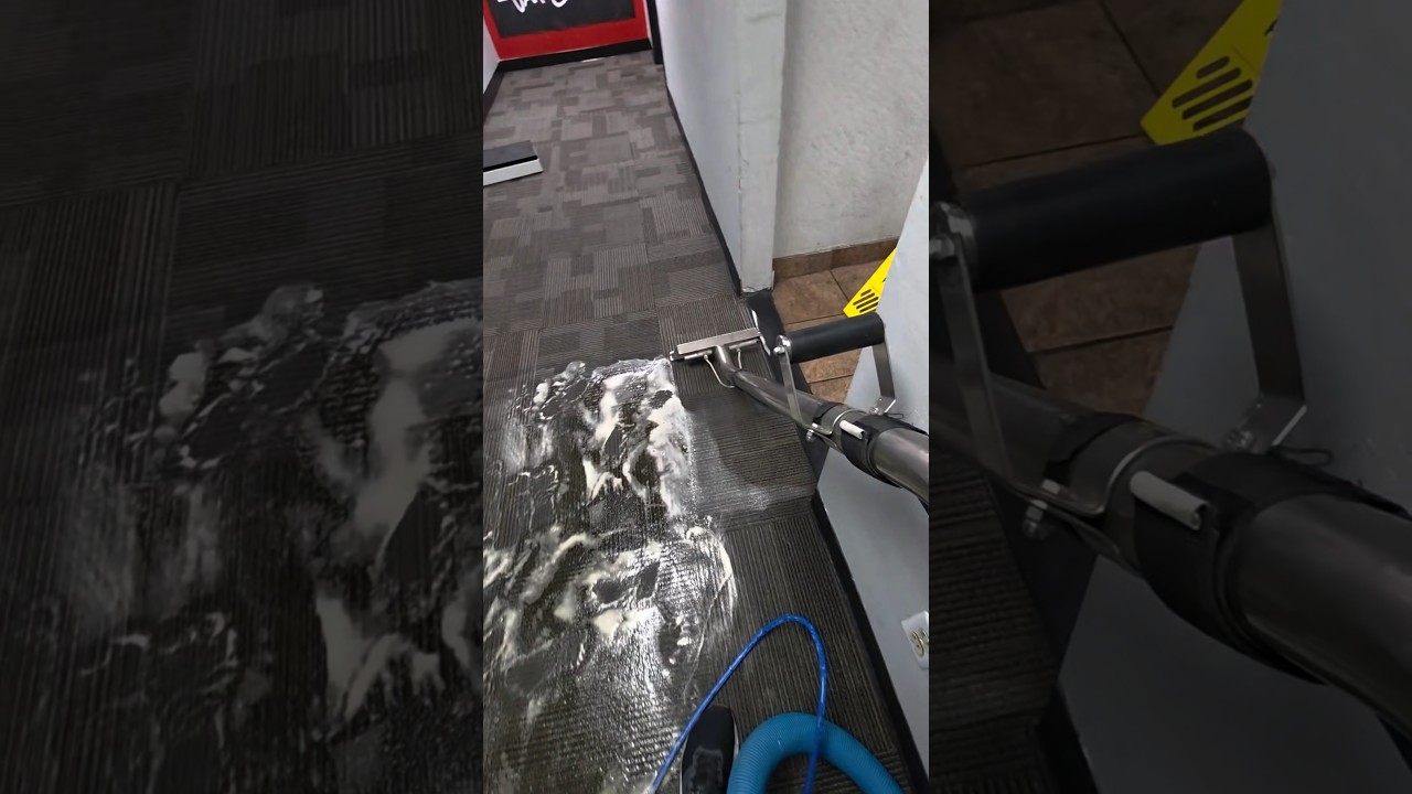 Sweaty water extraction #carpetcleaning #steamcleaning #waterextraction #waterrestoration #clean