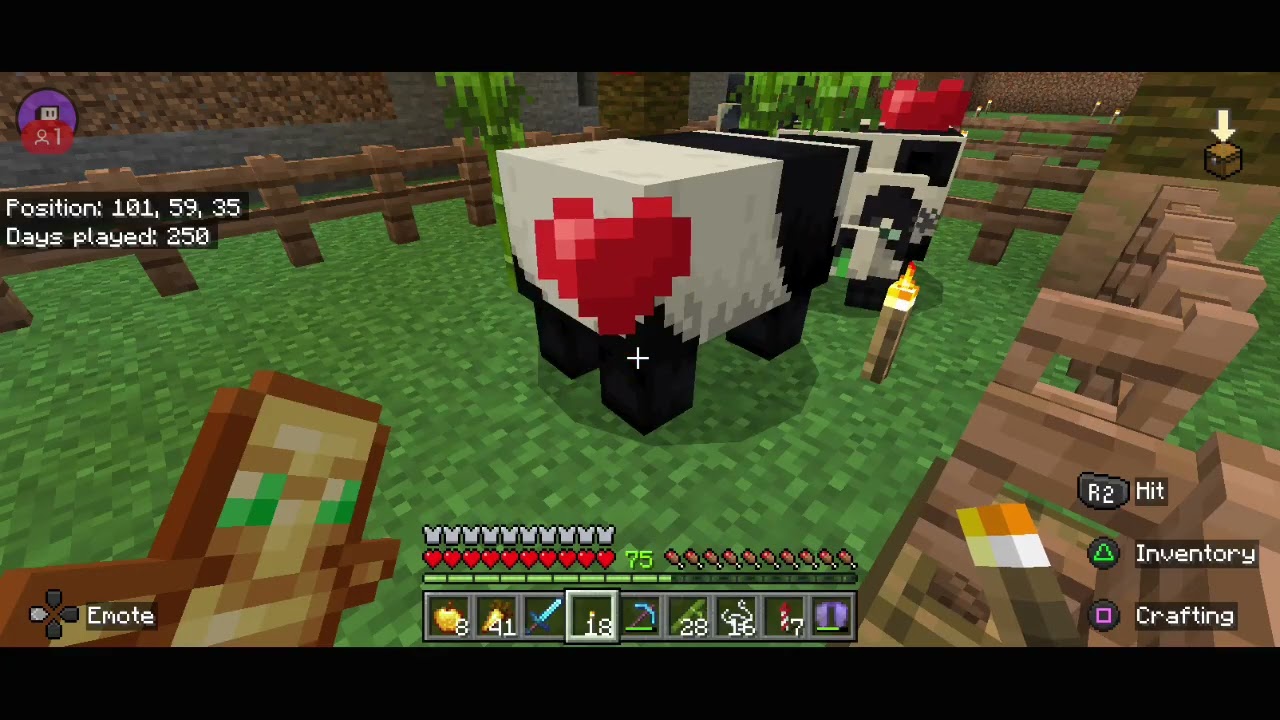 making a zoo