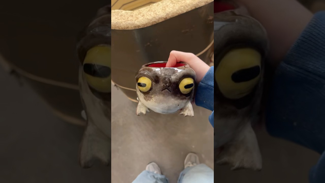 Painting a grumpy frog #art #ceramic #clay #frog