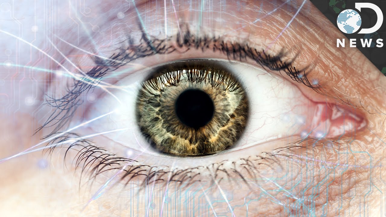 How The Human Eye Evolved To Be So Complex
