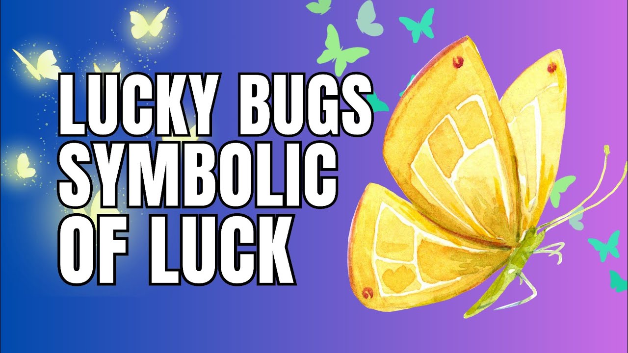 Lucky Bugs - Insects Symbolic Of Good Luck And Fortune | Ziggy Natural