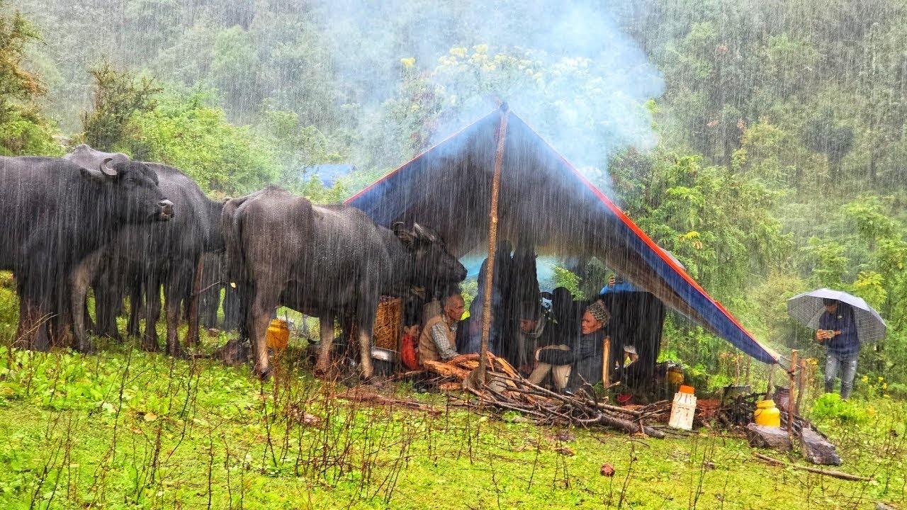 Surviving Shepherd Life in on Of the Coldest Regions Of Nepal | Winter Extreme Survival | 