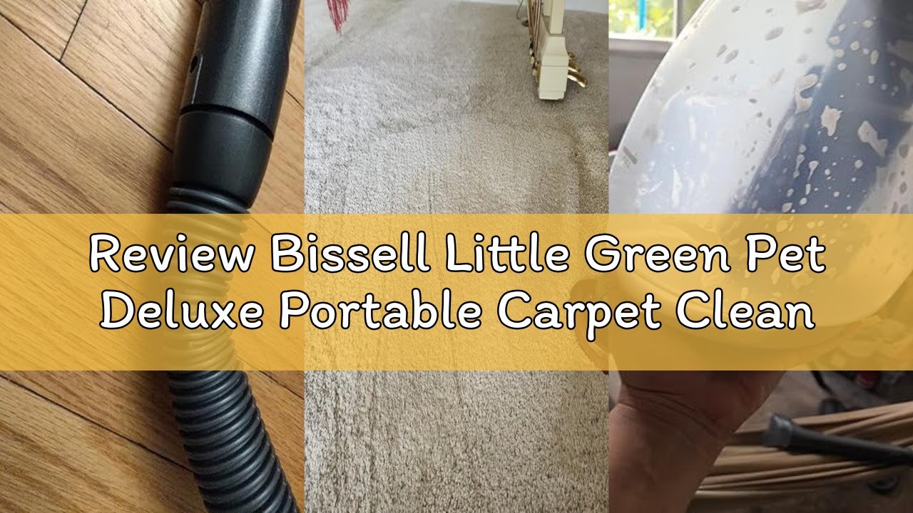 Review Bissell Little Green Pet Deluxe Portable Carpet Cleaner and Car/Auto Detailer, 3353, Gray/Blu