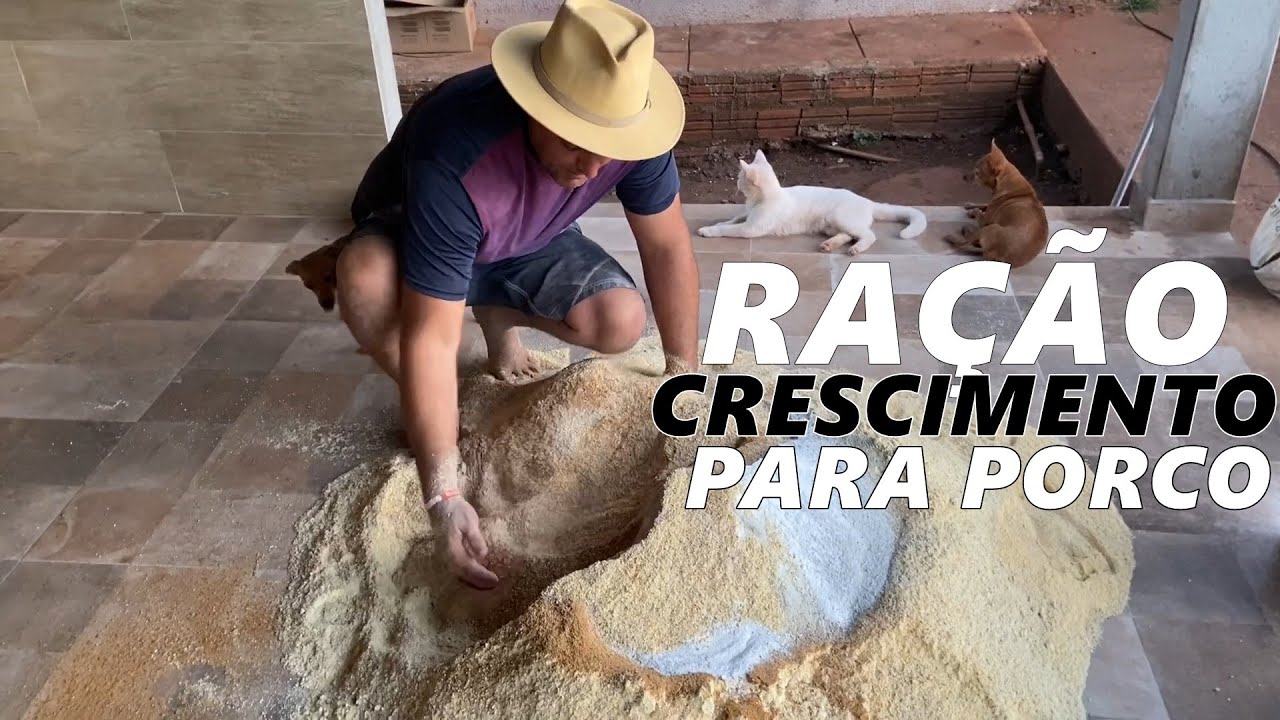 CRESCIMENTO RÁPIDO DOS SEUS LEITÕES??  FAÇA ESSA RAÇÃO!  EDMILSON ADORNO