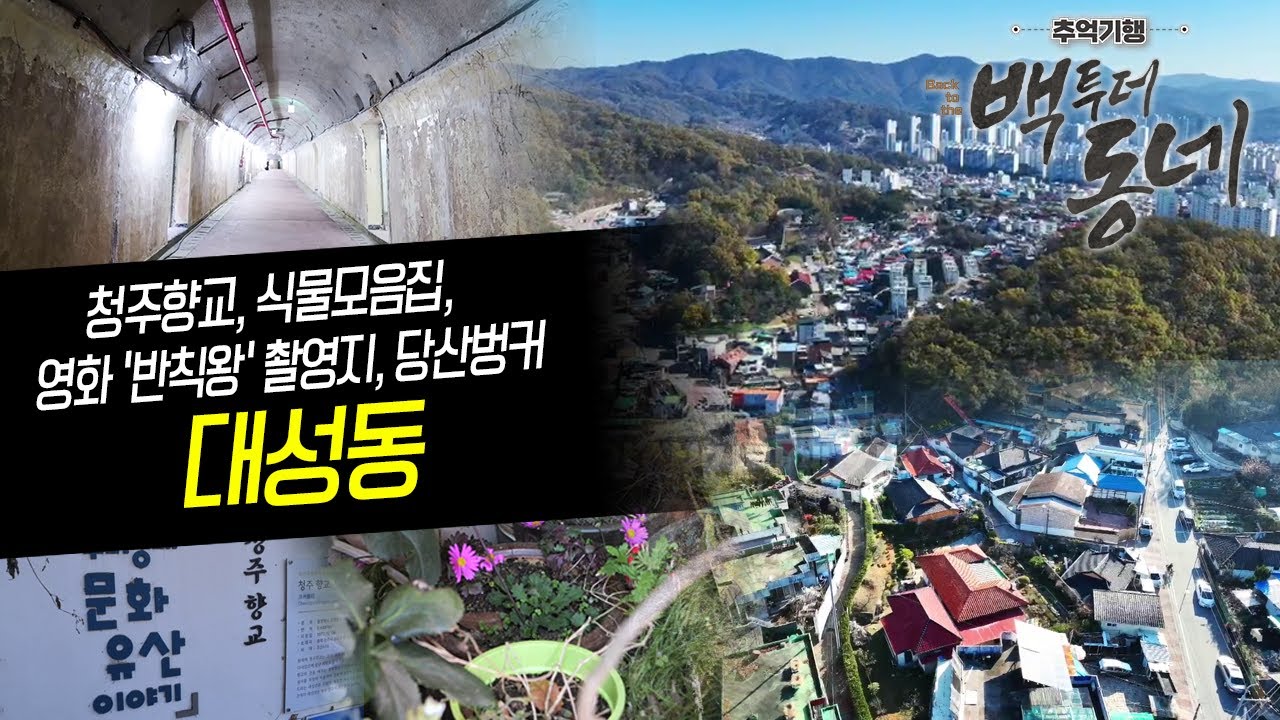 옛것의 가치를 품은 대성동 - 청주향교, 식물모음집, 영화 '반칙왕' 촬영지, 당산터널(청주시 대성동) [EP.32 추억기행 백투더동네]
